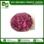 Import GMP Certified Dried Red Rose Flowers Petals from India