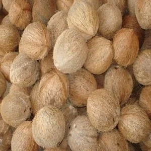 Good Product Good Price fresh Husked mature whole coconut