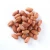 Import Grade A High Quality Peanuts Organic Peanuts factory price Peanuts without skin from China