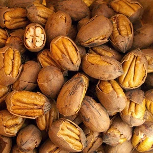 Grade A Premium Quality Pecan Nuts for Sale