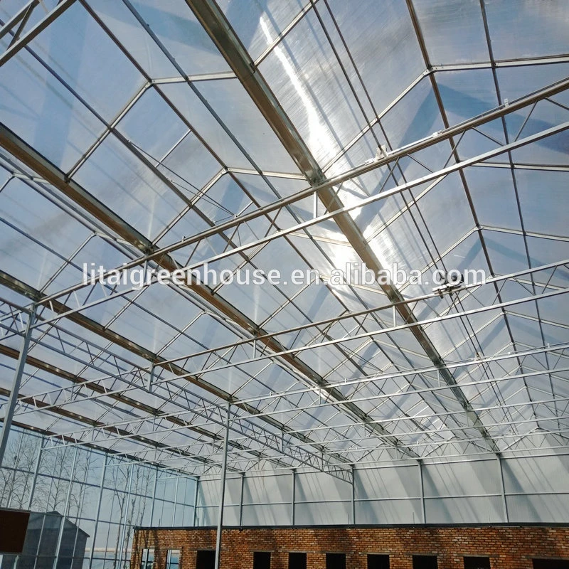 Green House Plastic Sheet /agriculture Green House