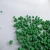 Green PE Plastic Masterbatch/Master Batches/Masterbach Colorants