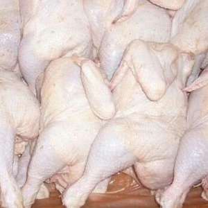 Halal / Fresh / Frozen / Processed Chicken Feet / Paws / Wings etc.