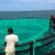 Import hapa net cage fishing nets company, tilapia fingerlings fish farming from China