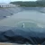 Import HDPE plastic pool pond geomembrane liner polyethylene waterproof membrane from China