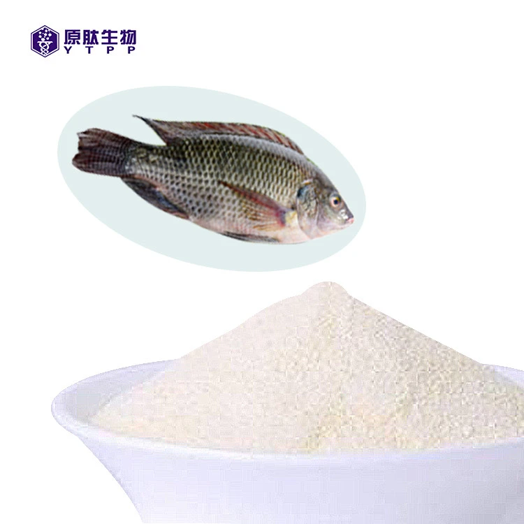 healthcare product funcional fish collagen proteins type 1 and 2 peptide health supplement natural granule