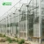 Import High Efficient Venlo Tempered Glass Greenhouse With Hydroponic Growing System from China