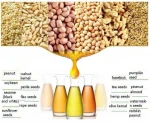 High Extraction Rate Seed oil pressers Coconuts oil extraction machine Chilli seeds oil mill
