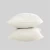 Import High Quality 100% Cotton Filler Custom Sizes Pillow Inner from China