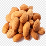 High Quality Apricot Kernels