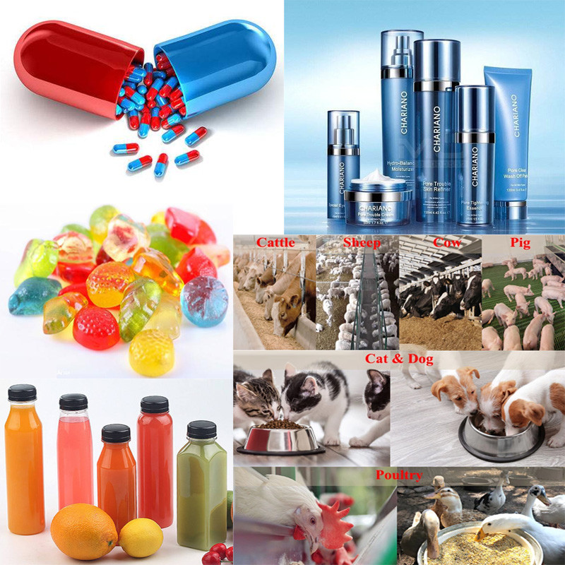 Buy High Quality Certified 1% Ginger Root Extract Gingerol Water ...