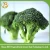 Import High quality Chinese Fresh Broccoli Price for Sale from China