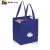 Import High Quality Cooler bag for food from China