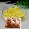 High Quality Dried Egg Yolk Powder/ Whole Egg Powder