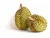 Import HIGH QUALITY FRESH DURIAN FROM VIET NAM from Vietnam
