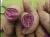 Import High Quality Fresh Sweet Potato, Purple Sweet Potato, 2017 crop from China