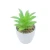 Import high-quality green  artificial potted plant  Indoor decorative  artificial plants from China from China