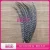 Import high quality lady amherst center pheasant tail feathers supplier from China