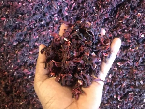 High-quality whole hibiscus flower after drying drink tea and drink herbs hibiscus flower extract water achine couper hibiscus