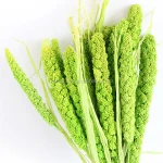 Home decoration China millet natural color dried flower bouquets dried sorghum flower