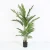 Import Home Garden Ornaments Plastic Plant Artificial Plants Potted Tree Artificial Palm Tree from China