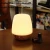 Import Home Modern Portable Glass Bamboo Ultrasonic Mini Aromatherapy Diffuser from China