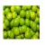 Import Hot Sale Fresh Green Seedless Lime From Vietnam from Vietnam