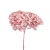 Import Hot sale high quality room wall decoration Valentine&#39;s Day preserved hydrangea with stem hydrangea flower from China