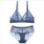 Import Hot sale New sexy ultra-thin lace no steel ring half perspective bra set ladies underwear from China