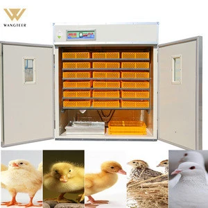 hot Sale Poultry Automatic Computer Control Egg Incubator Bangladesh Price