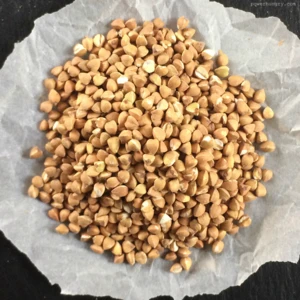 Hot sale raw Sweet Buckwheat new crop
