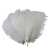 Import Hot Sales 20-25cm Bulk Ostrich Feathers White for Party Supplies from China