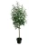 Import hottest artificial olive tree, 190cm plastic olive tree, wholesale indoor plant from China