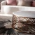 Import Individual Tea table combination marble surface living room furniture from China
