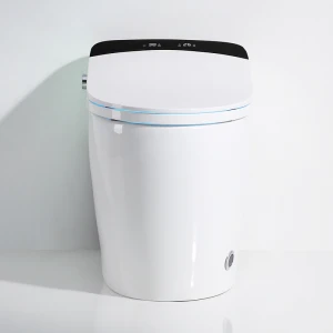 Intelligent Toilets Seat Covers Wc Automatic Water Closet Ceramic Smart Toilet Bidet