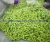 Import IQF China Frozen Green Soya Beans, Wholesale Bulk Frozen Edamame Soybean. from China