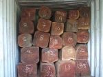 IRON Wood TIMBER