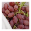 Italian High Quality Fresh Rose Grapes Seedless Grapes
