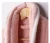 Import Jennifer 2020 New Products Shawl V Collar Sexy Womens Cation Fabric Coral Fleece Bathrobe from China