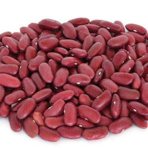 Kidney Beans Product Type and Dried Style LSKB /Light Speckled Kidney Beans /Pinto Beans/Sugar Beans