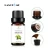 Import Lanthome Organic 100% Pure Scalp Treatment Morroco Argan Hair Care Essential Oil oem Customized private label from China
