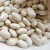 Import large size long types of White Kidney Beans dry from Thailand