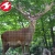 Import Low Price Plastic Dog Net Deer Farm Fence for sale from China