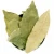 Import Manufacturer supply natural spice bay leaves for sale from Germany