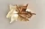 Import MEEROSEE Golden Leaves Wall Brackets Lights Gold Copper Sconces Wall Bracket Light Fitting Bathroom Vanity Lighting MD87020 from China