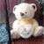 Import Mixed Sizes Plastic Safety Eyes For Teddy Bear Stuffed Toys Snap Animal Dolls from China
