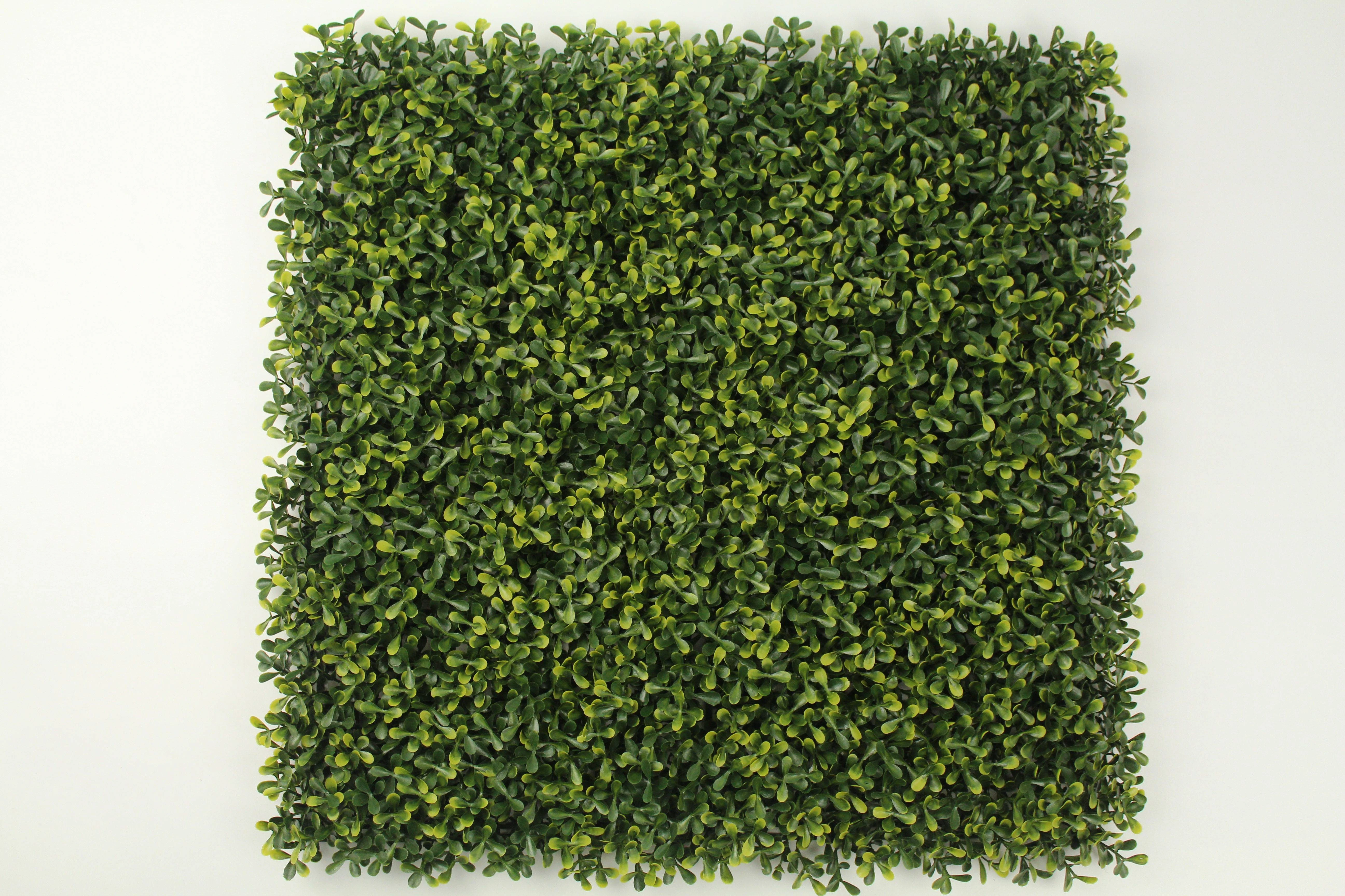 MZ188018 Wholesale outdoor decorative  plastic plant artificial box hedge wall