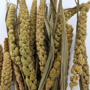 natural air dried millet real flower decoration