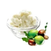 100% Natural Coconut Mango Butter Mango Butter (Cold Pressed & Refined & Unrefined )