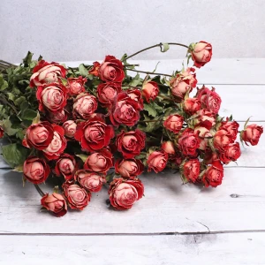 Natural dried rose dry flowers long life roses bouquet with stem